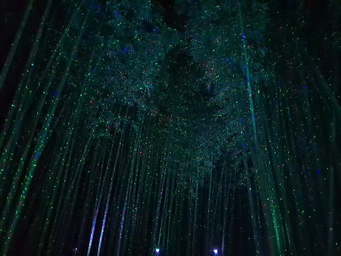 Taehwagang National Garden Simni Bamboo Grove