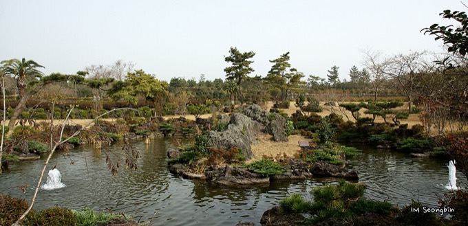 Camellia Hill