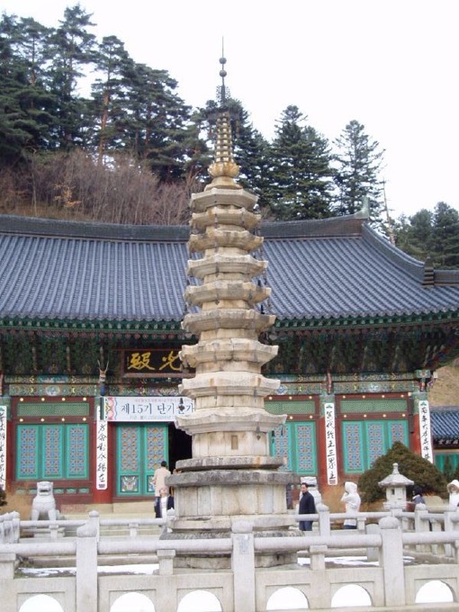 Odaesan Woljeongsa Needle Fir Forest Trail