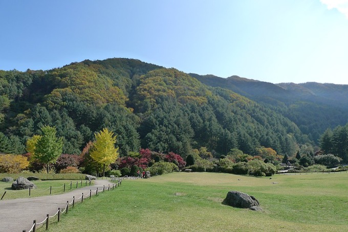 The Garden of Morning Calm