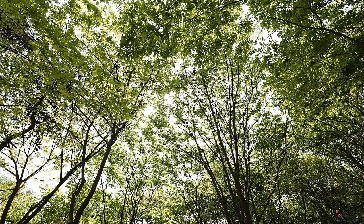 Yongsan / Hannam 용산 / 한남