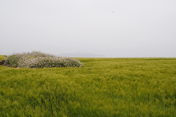 Gapa Island