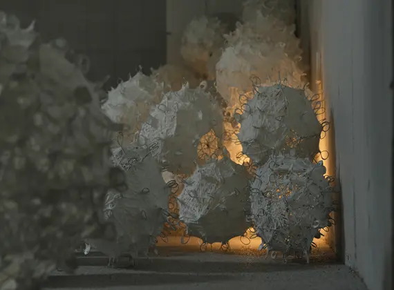 [Space Tone Gallery] Ko So-mi Solo Exhibition: Multiplicity