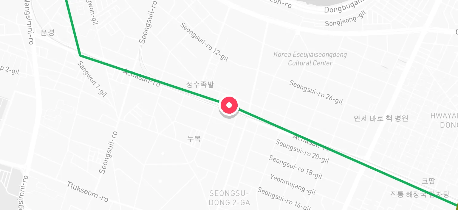 Map of Seongsu Station and the surrounding streets