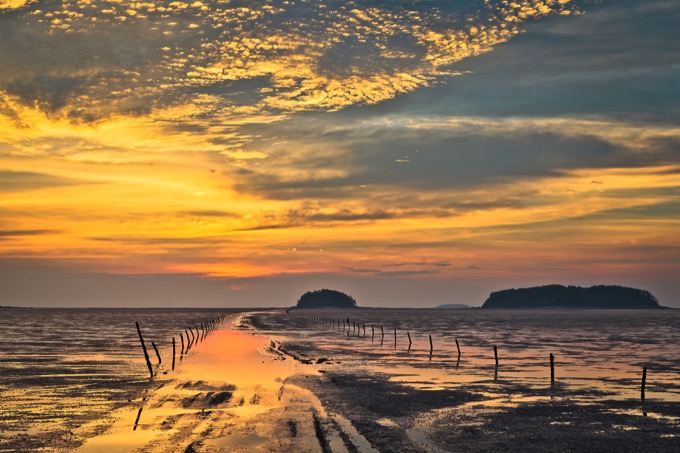 Getbol, Tidal Flats in Korea