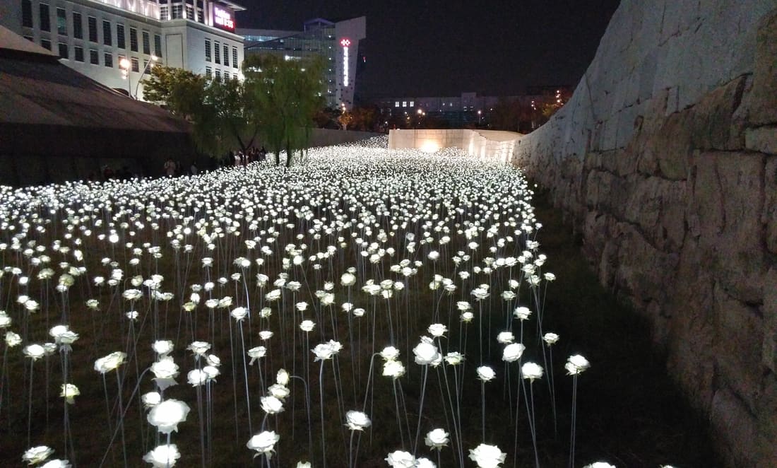DDP Light + Seoul Lights