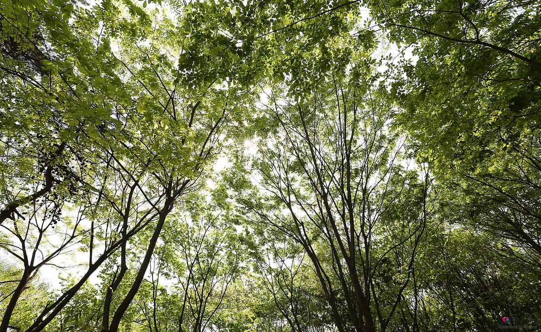 Yongsan / Hannam 용산 / 한남